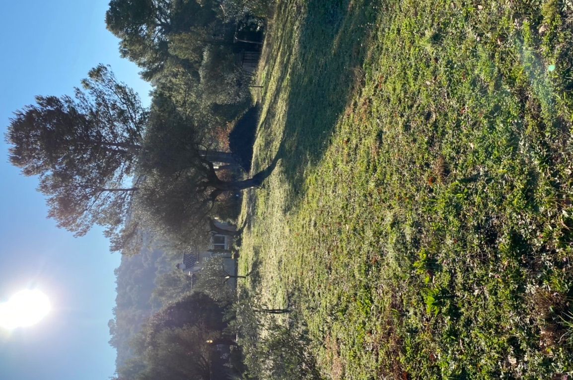 Photo de l'entrée