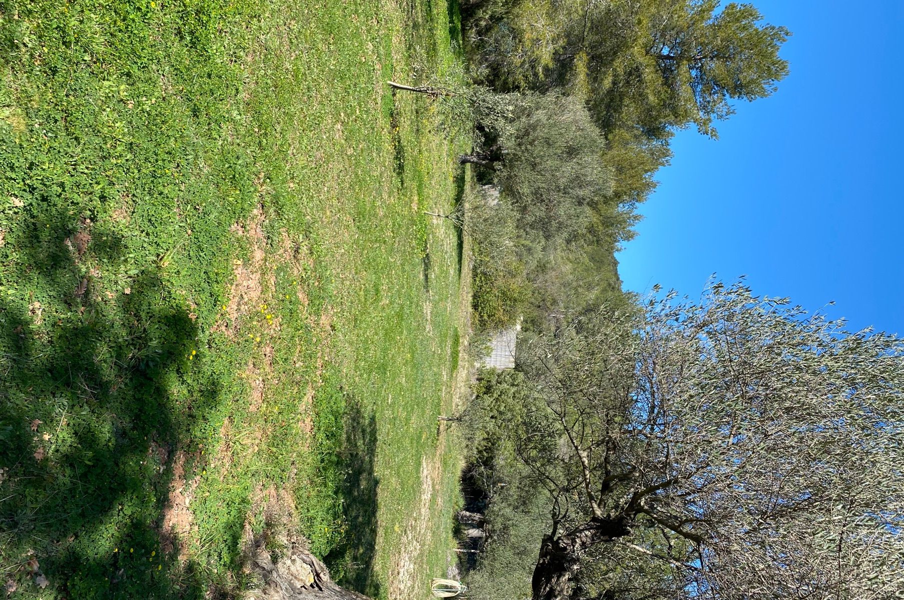 Image de l'entrée