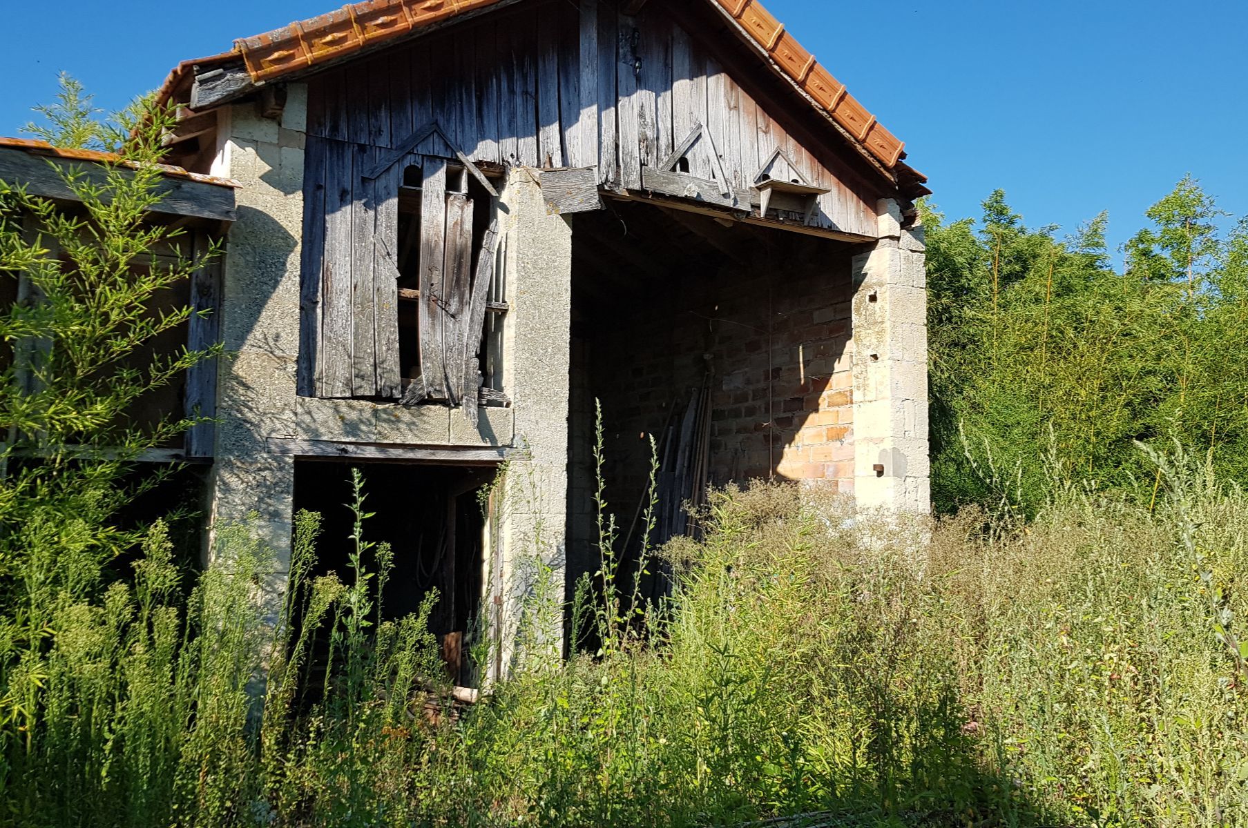 Image de l'entrée