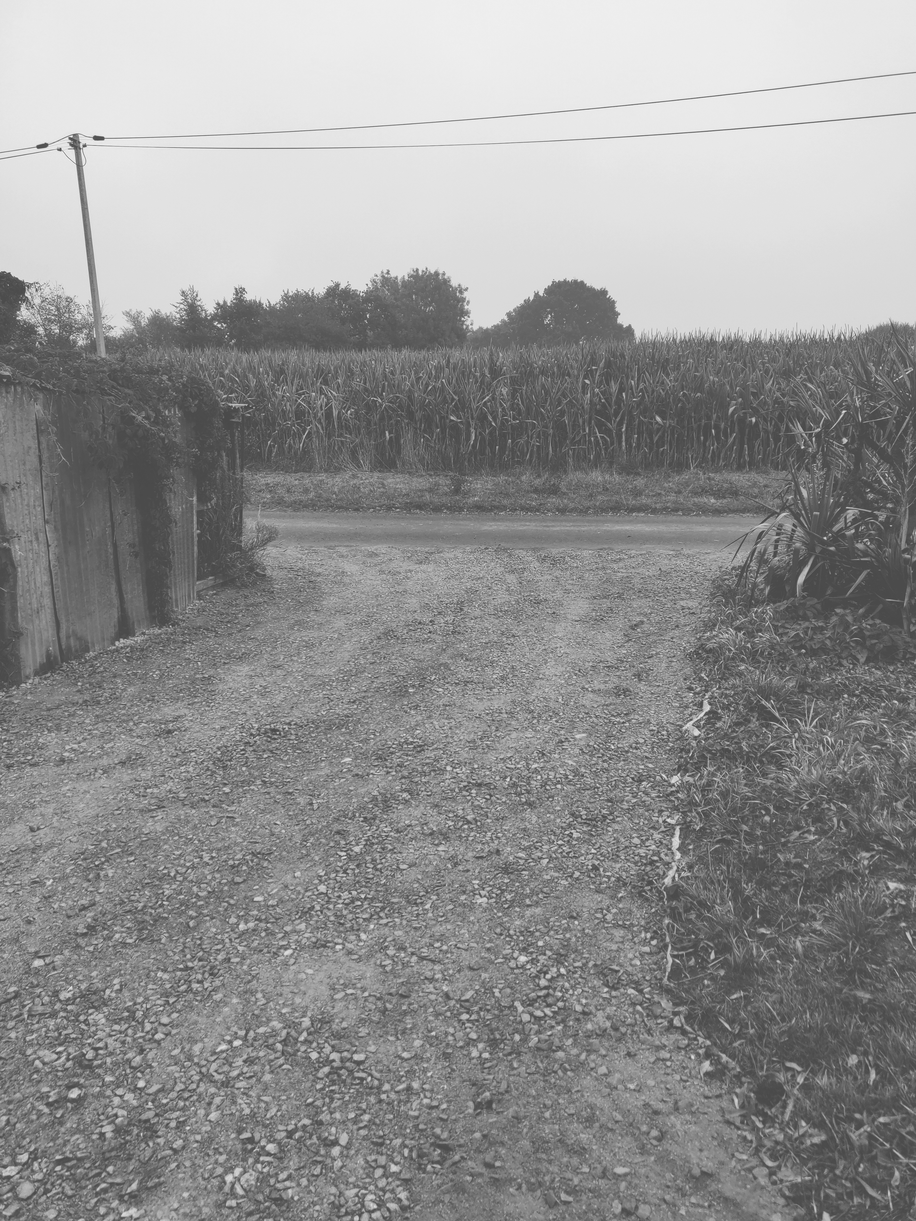 Image de l'entrée