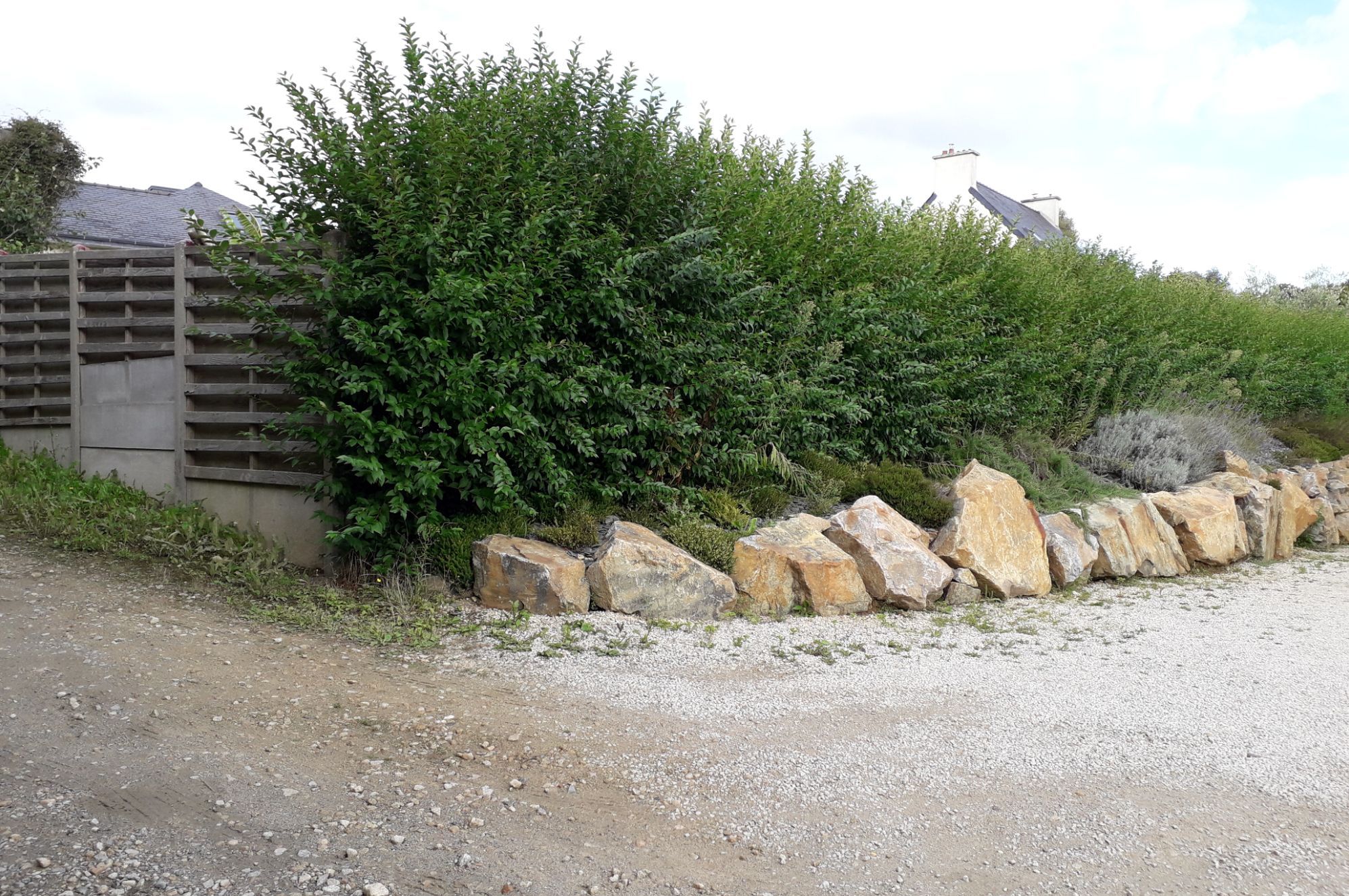 Image du terrain