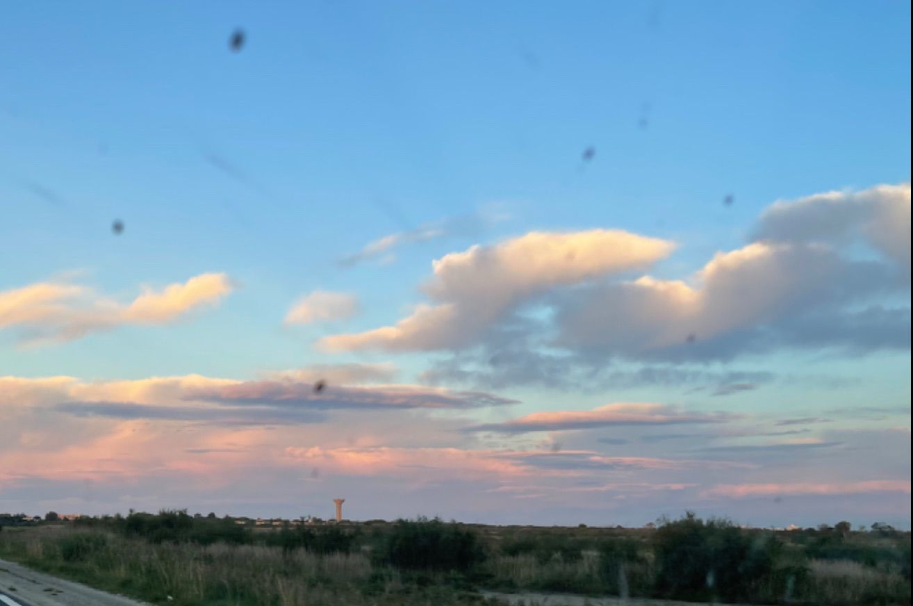 Image du terrain