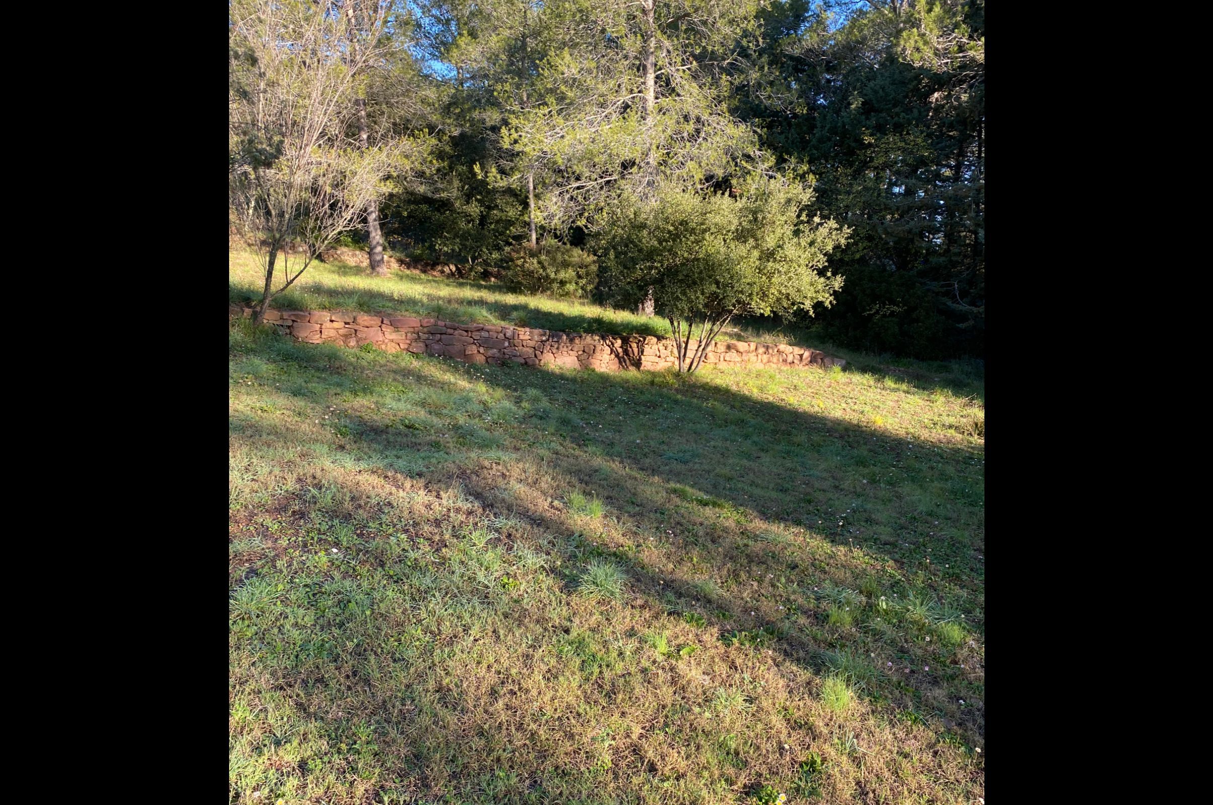 Photo du terrain