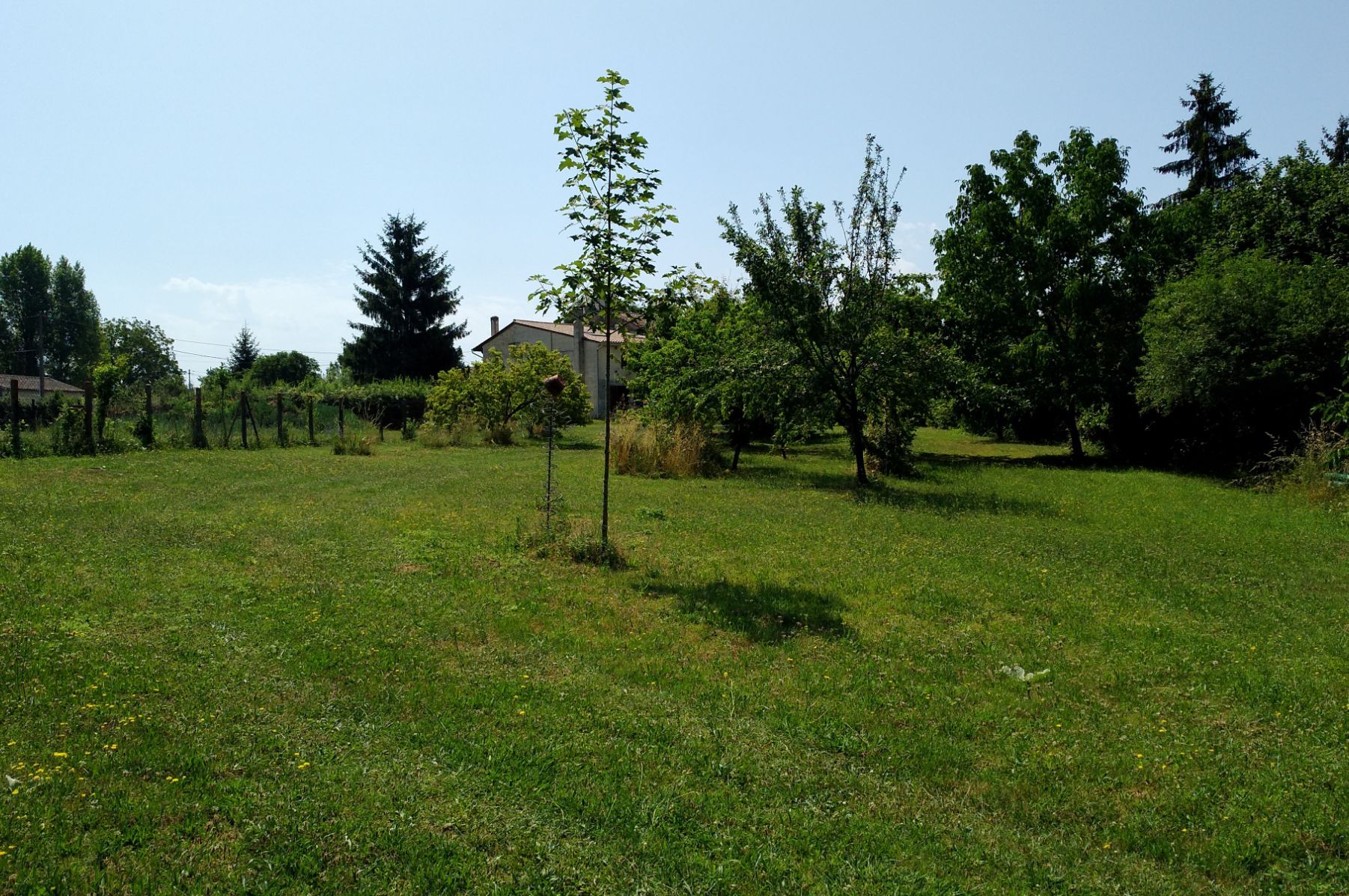 Image de l'entrée