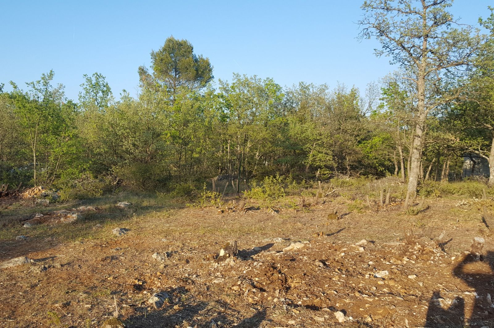 Image du terrain