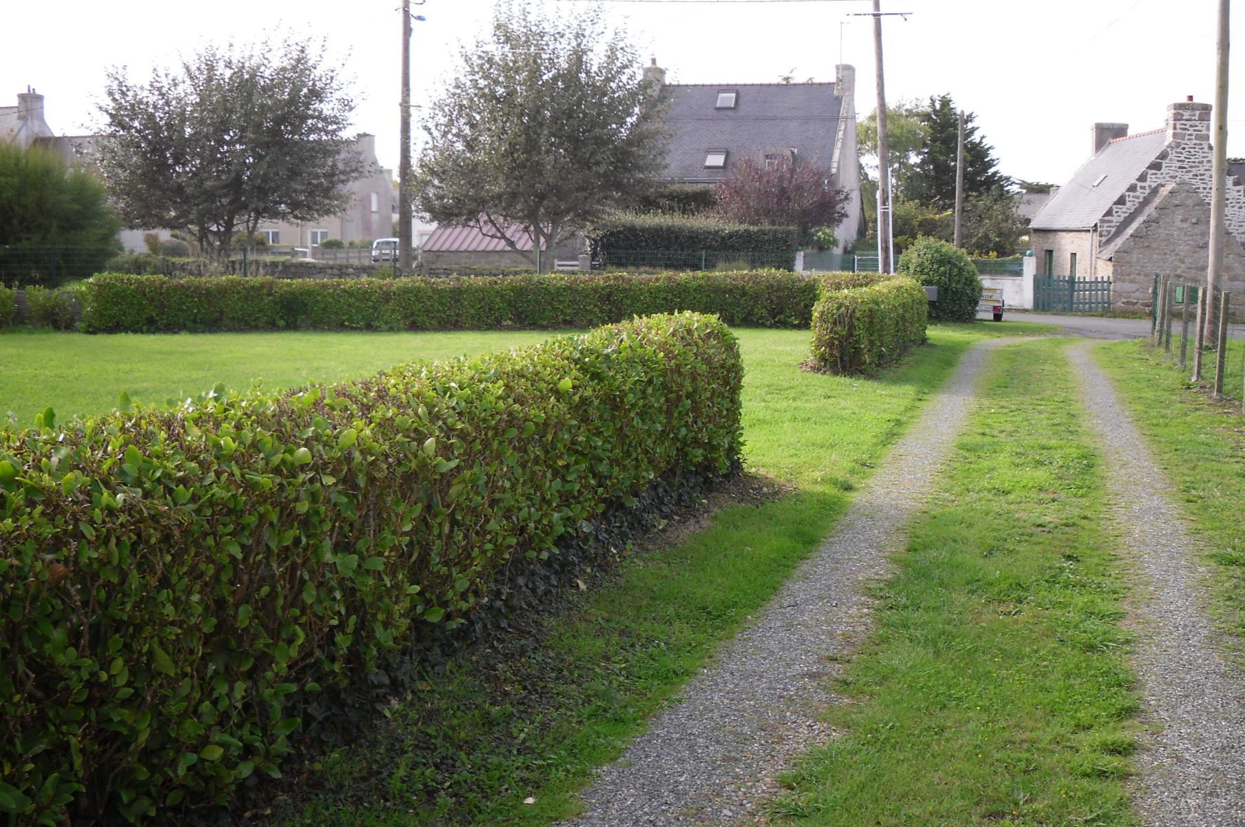 Image du terrain