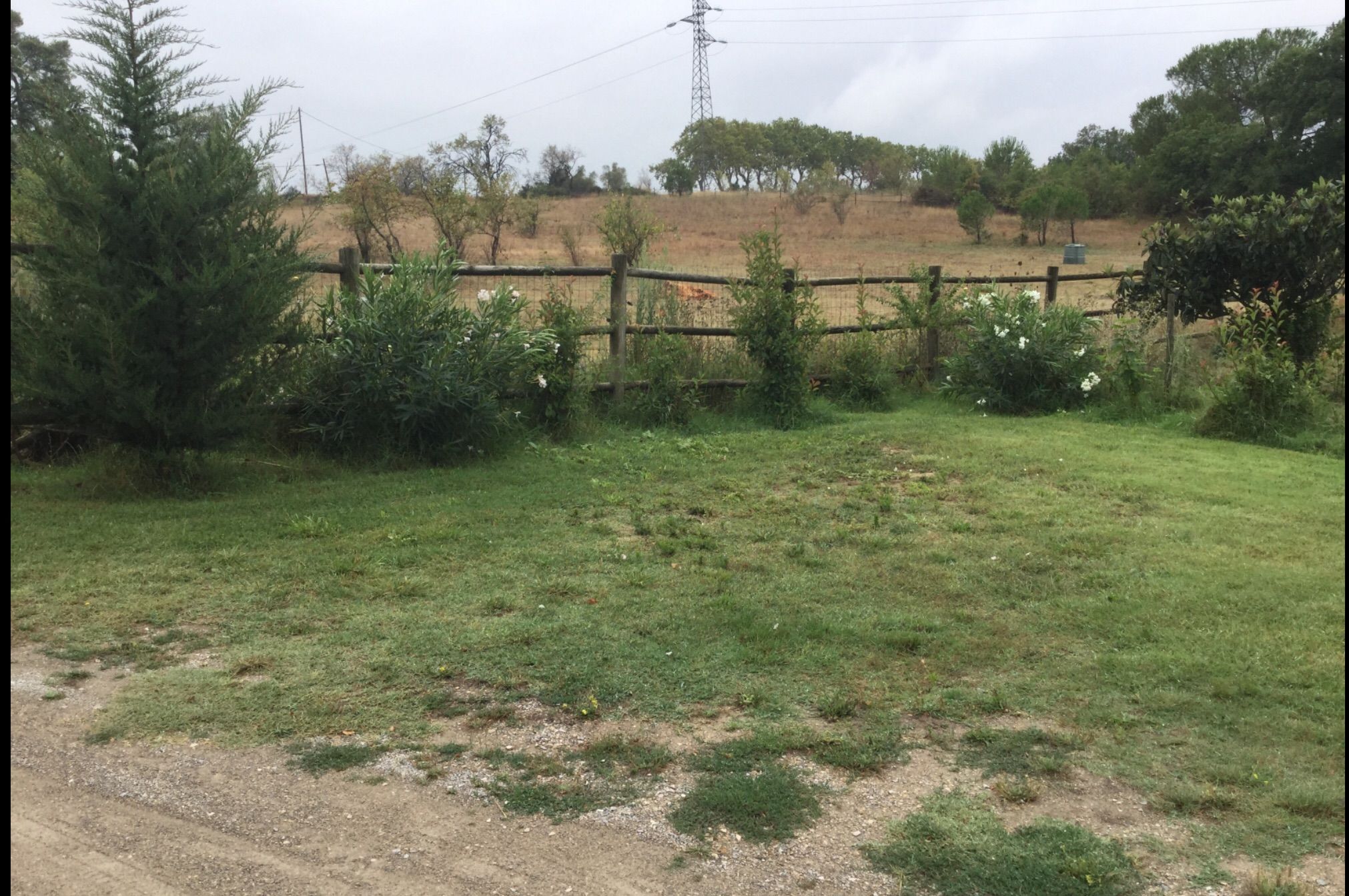 Image du terrain