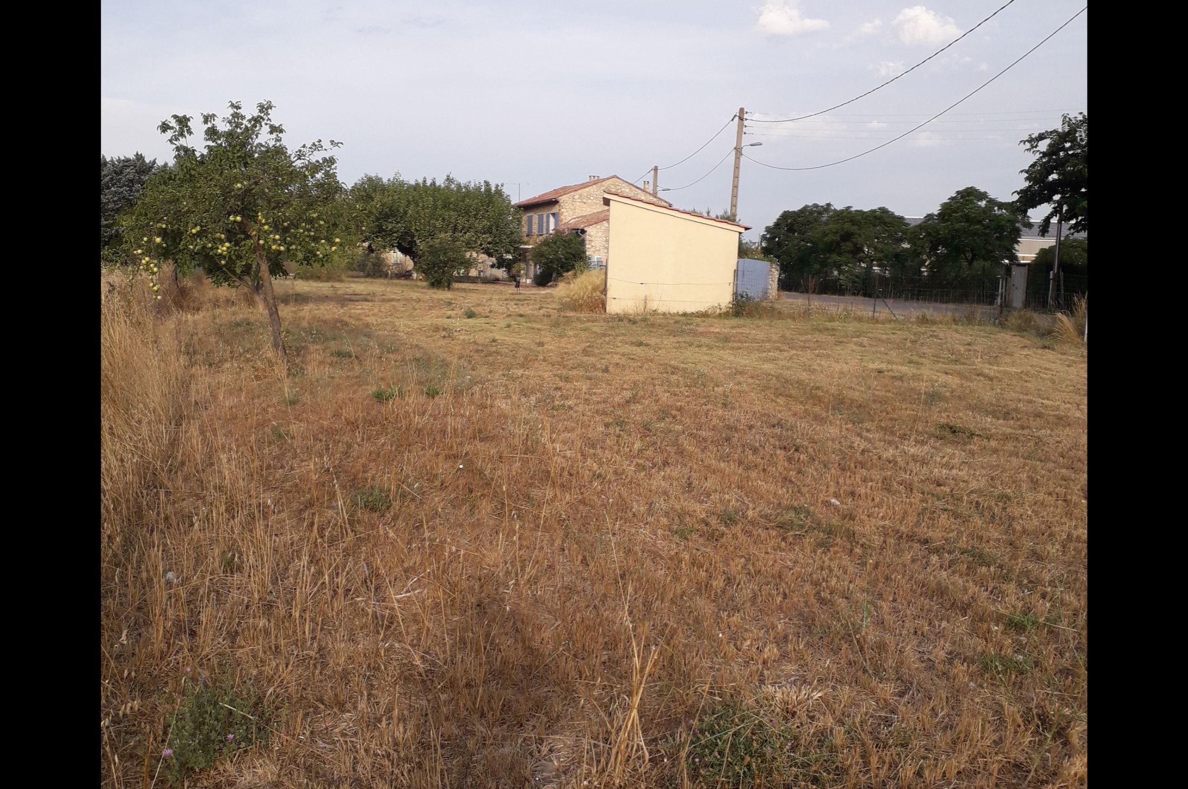 Photo du terrain