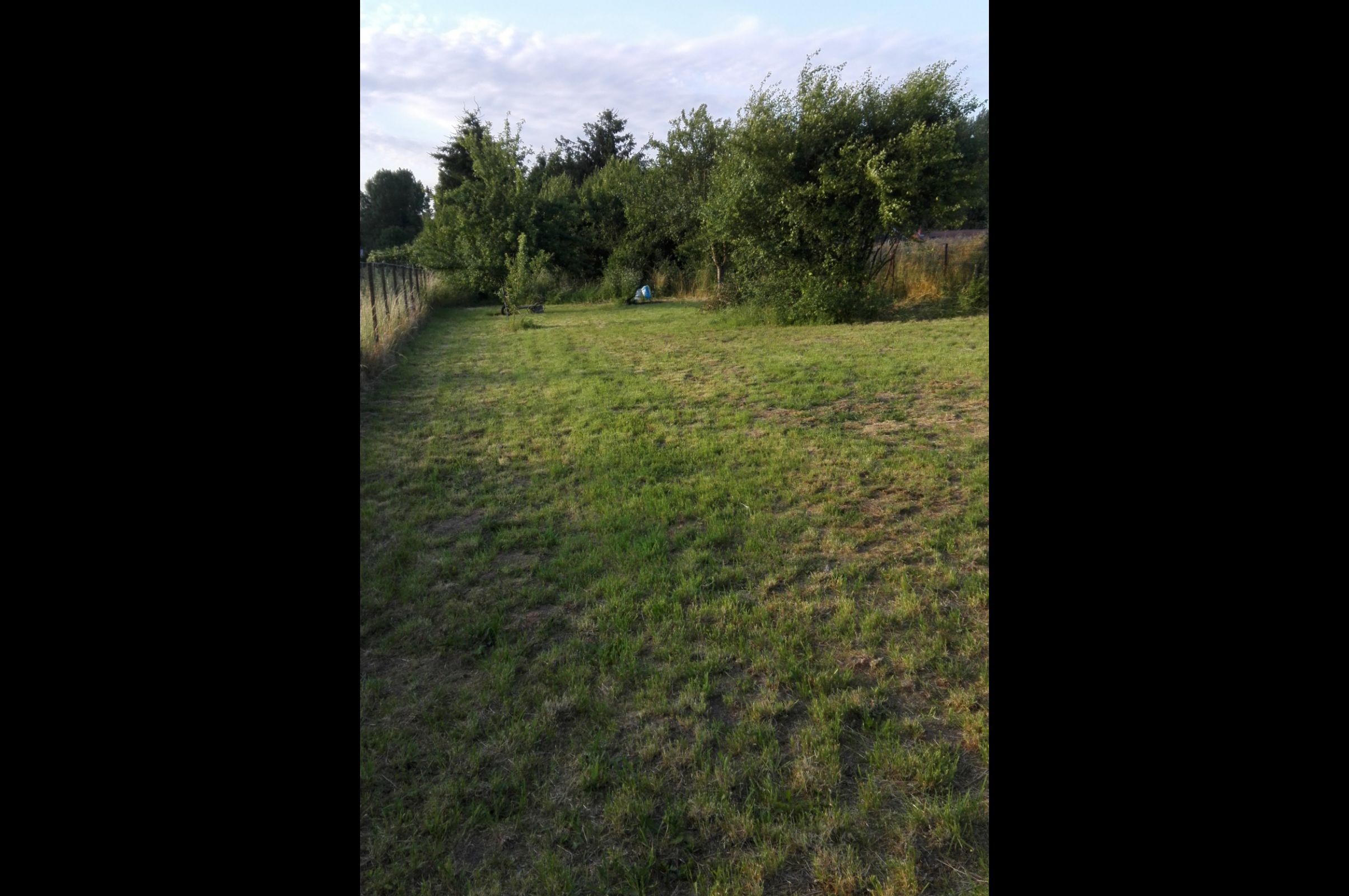 Image du terrain