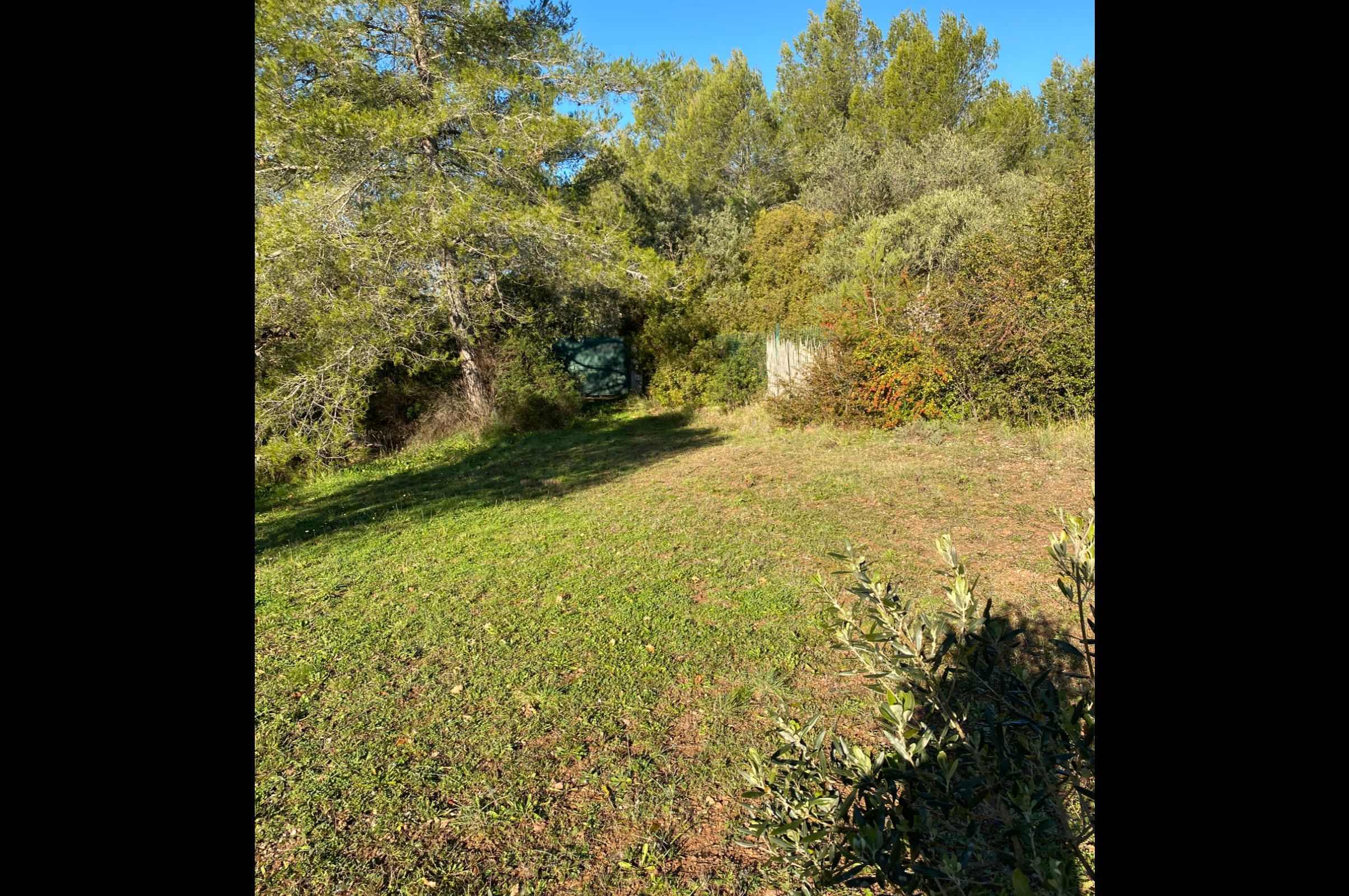Photo de l'entrée