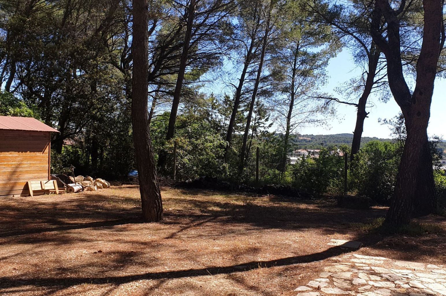 Image du terrain