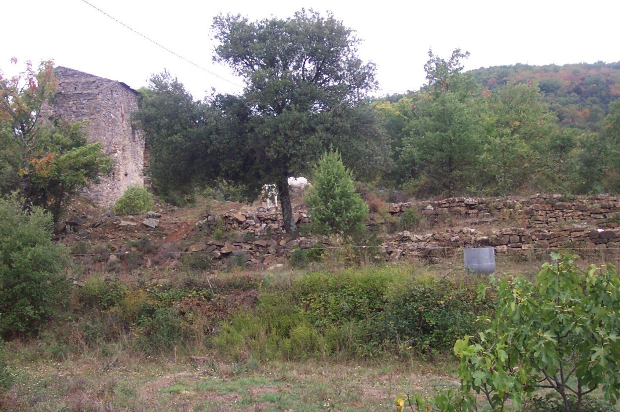 Photo du terrain