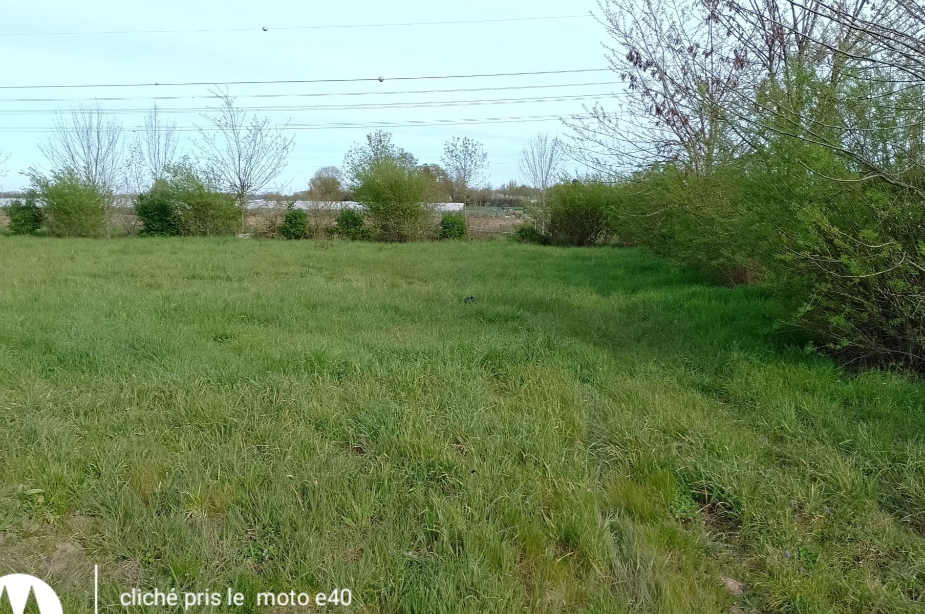 Image du terrain