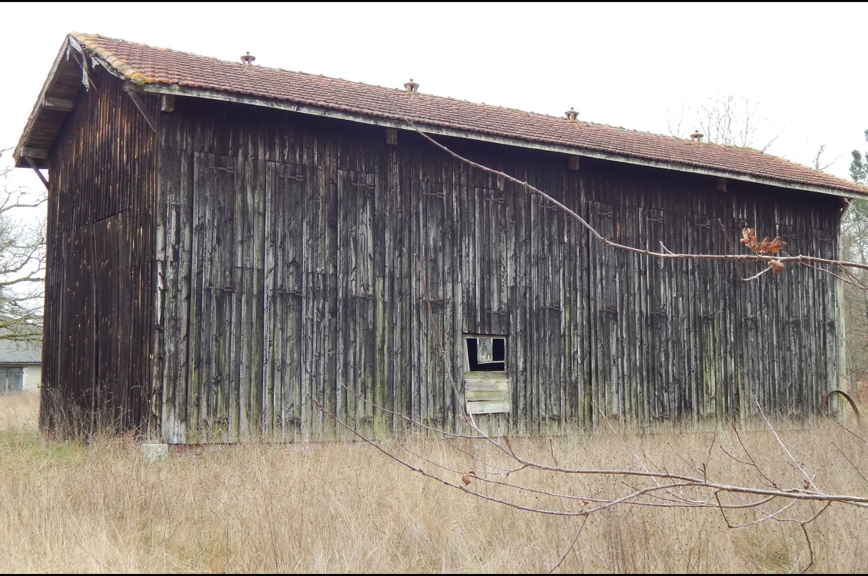 Photo de l'entrée