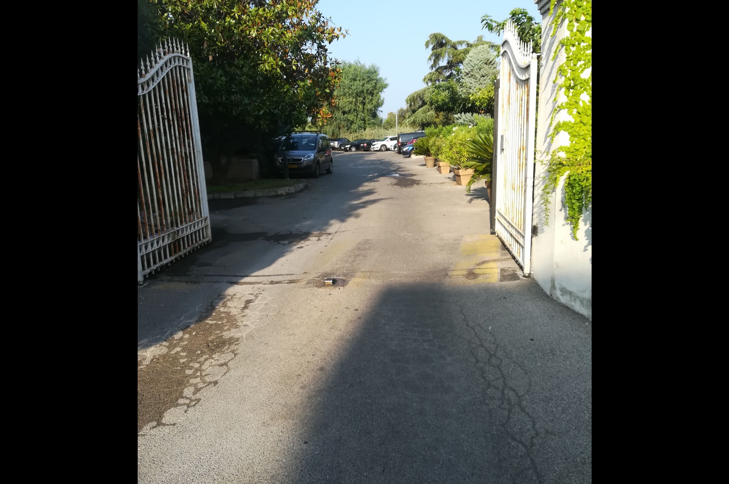 Image de l'entrée