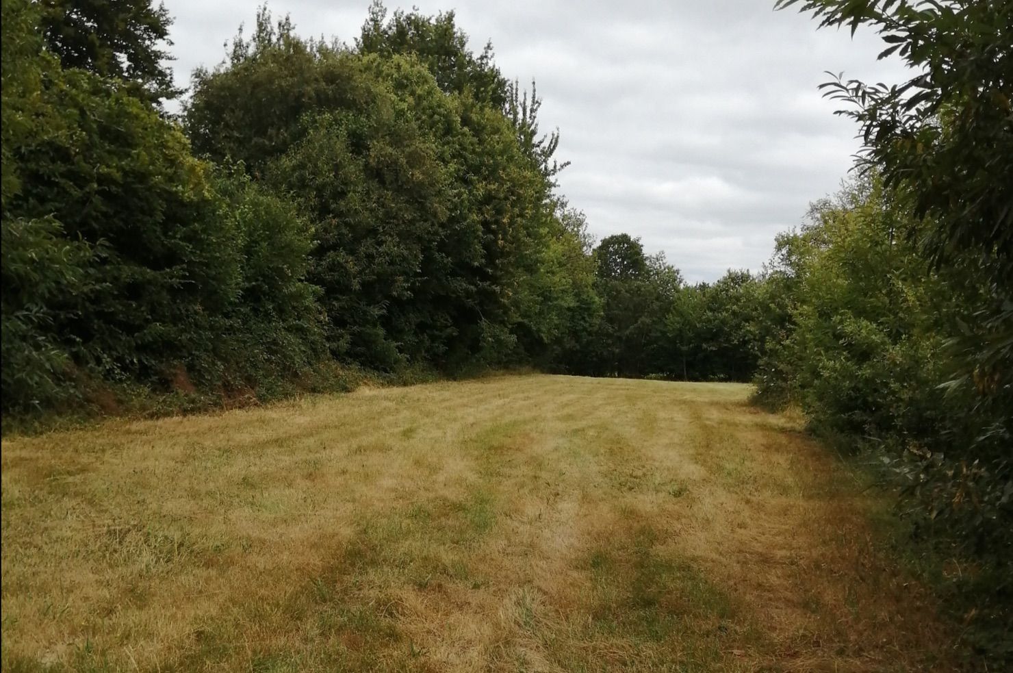 Photo du terrain