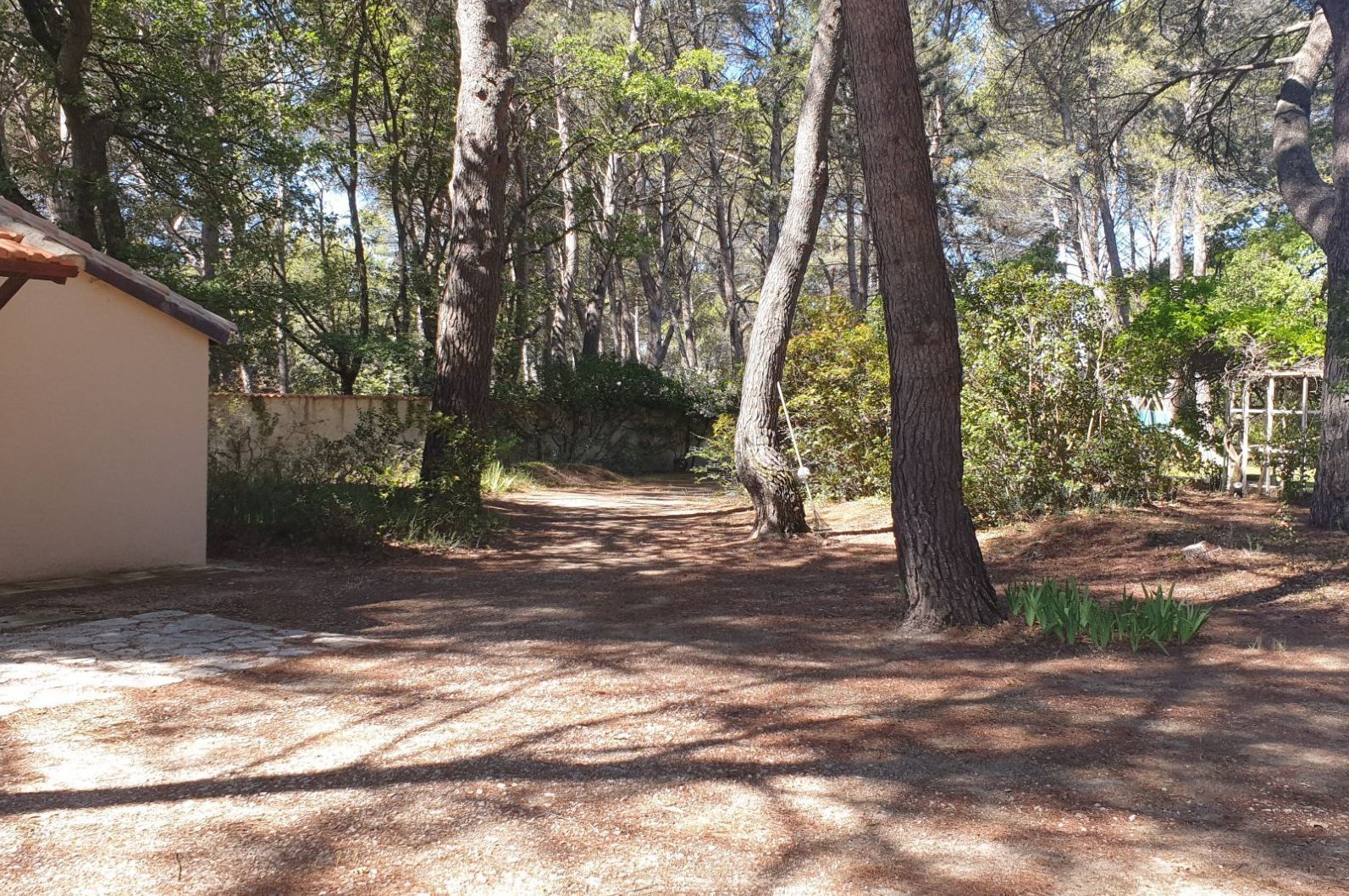 Image de l'entrée