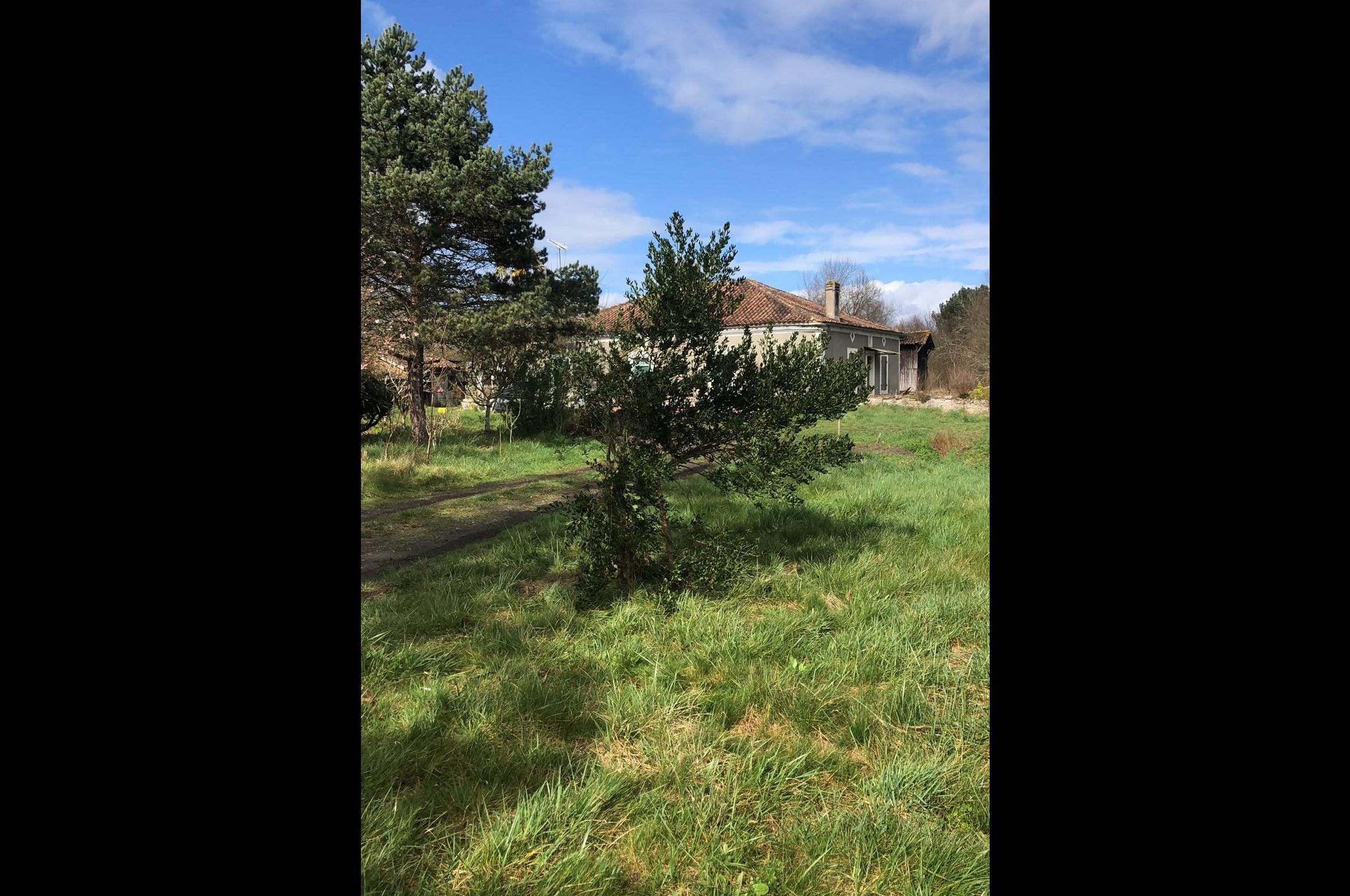 Photo du terrain