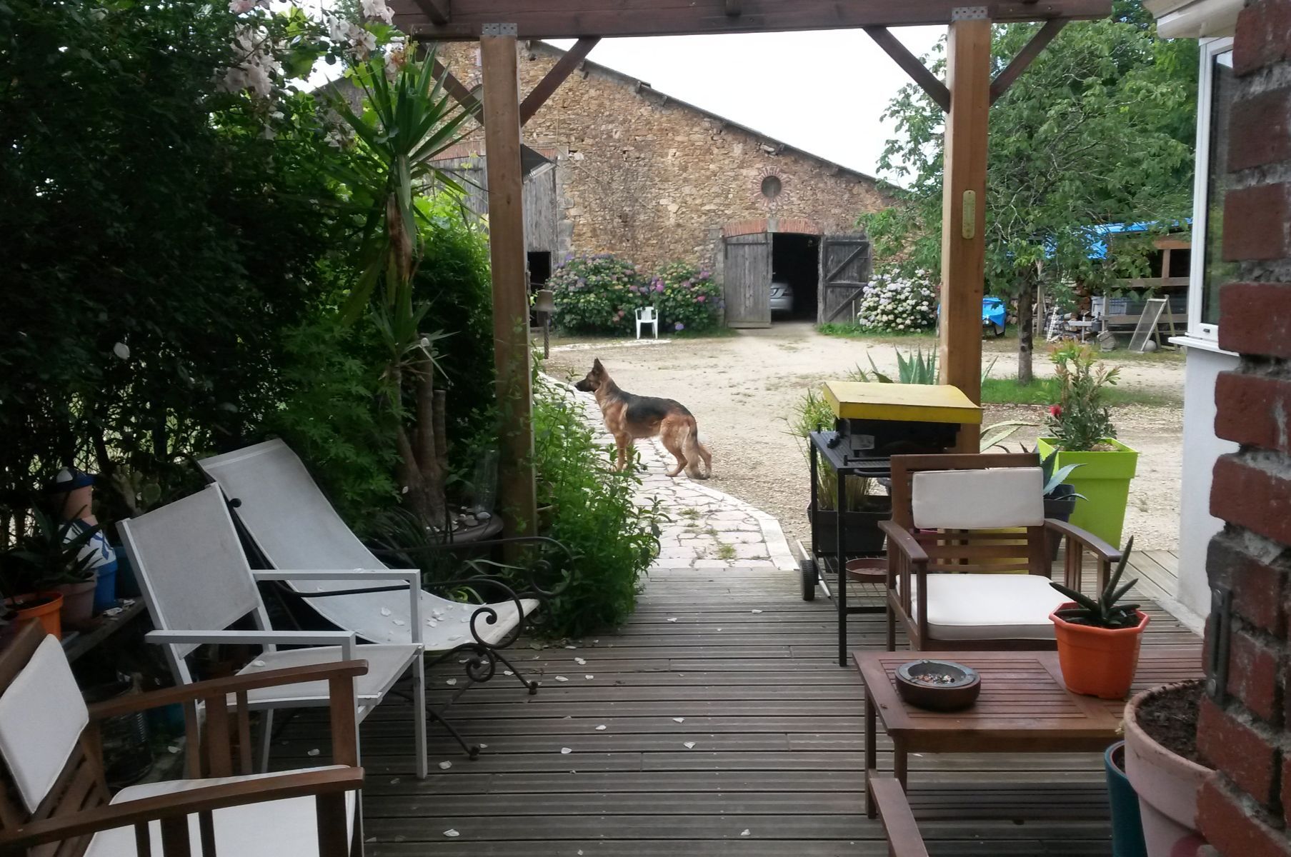 Image du terrain
