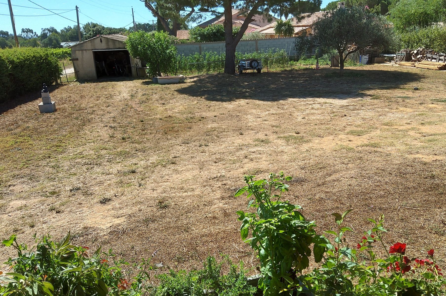 Image de l'entrée