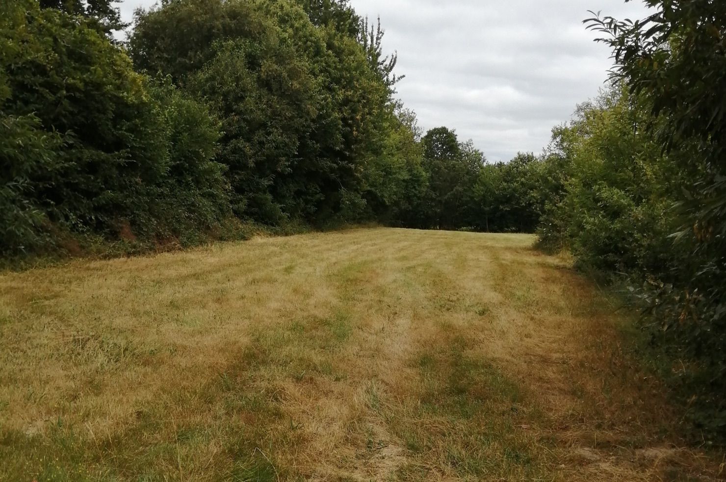 Photo du terrain